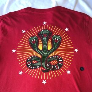 Hollister Baseball Tee With Triple Snake Head